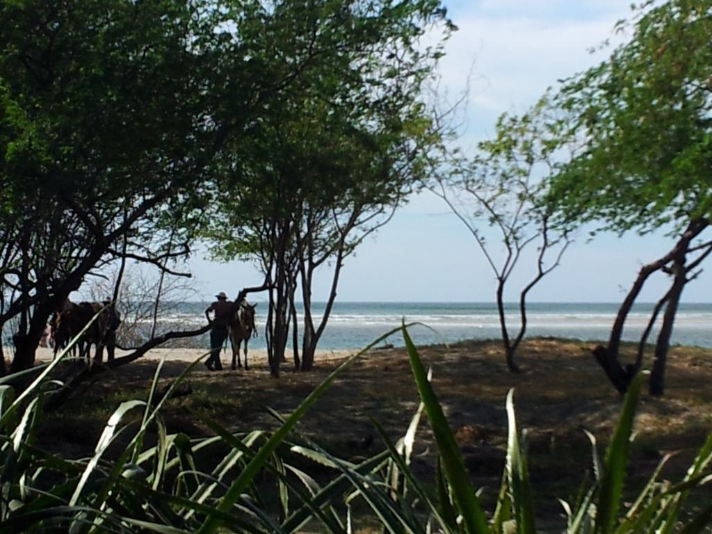Hotel Casa Blanca Tamarindo Bagian luar foto